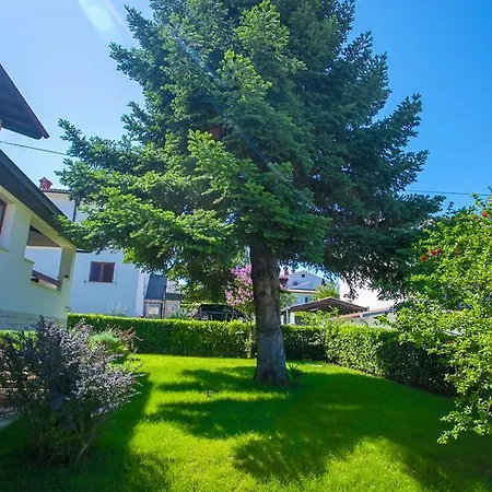 Apartment Pinia